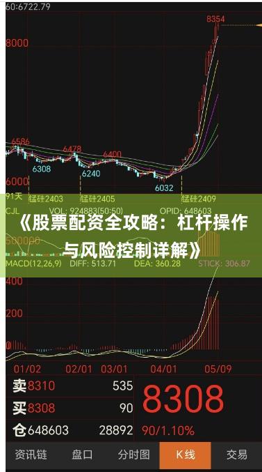 《股票配资全攻略：杠杆操作与风险控制详解》